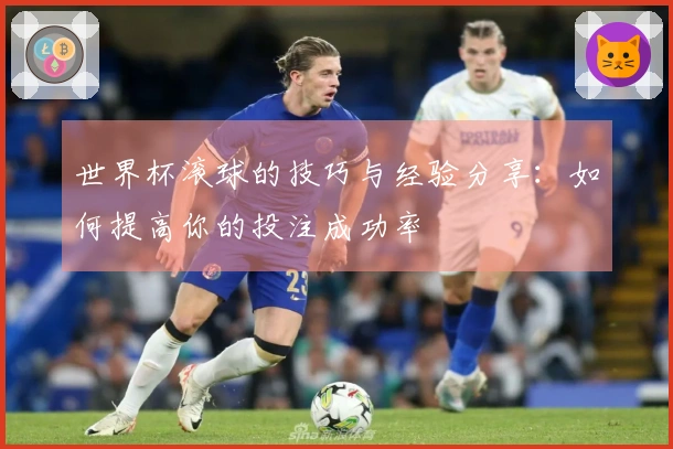 世界杯滚球的技巧与经验分享：如何提高你的投注成功率