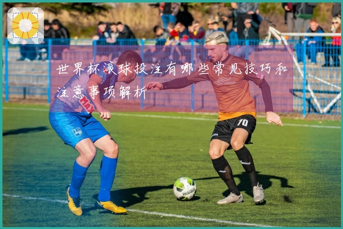 世界杯滚球投注有哪些常见技巧和注意事项解析