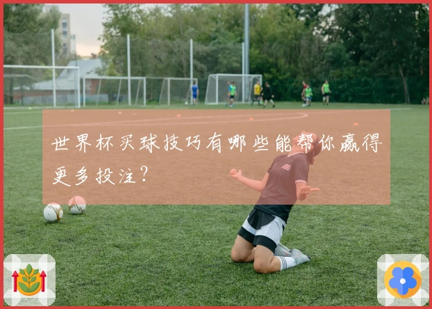 世界杯买球技巧有哪些能帮你赢得更多投注？