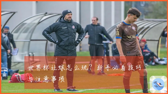 世界杯让球怎么玩？新手必看技巧与注意事项
